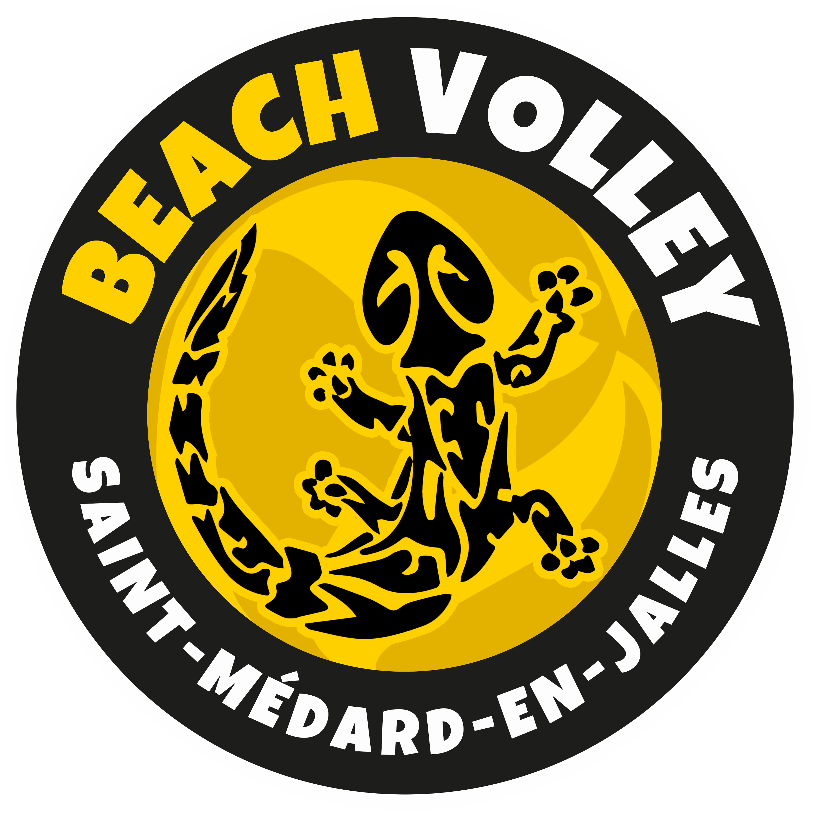 Logo ASSM Volley & Beach